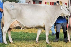 141004Altdorf 007a